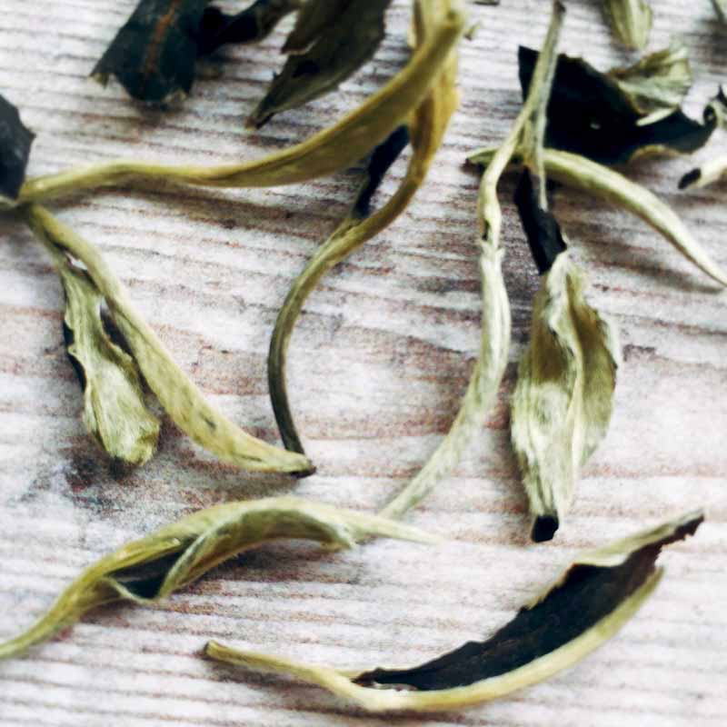 organic white tea chinese tea